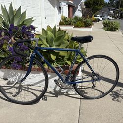 Vintage TREK Road Bike