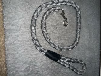 Heavy duty 4” led for dogs