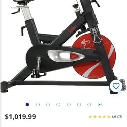 Sunny Exercise Spinning Bike