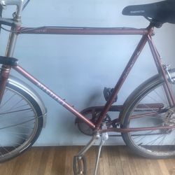 Vintage Nishiki ,CITISPORT