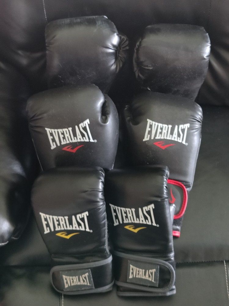 Everlast Boxing Setup
