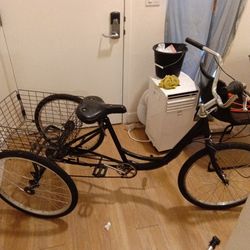 Trike Bike 