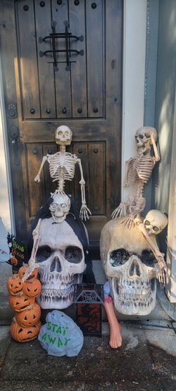 Halloween Skull & Skeleton Lot