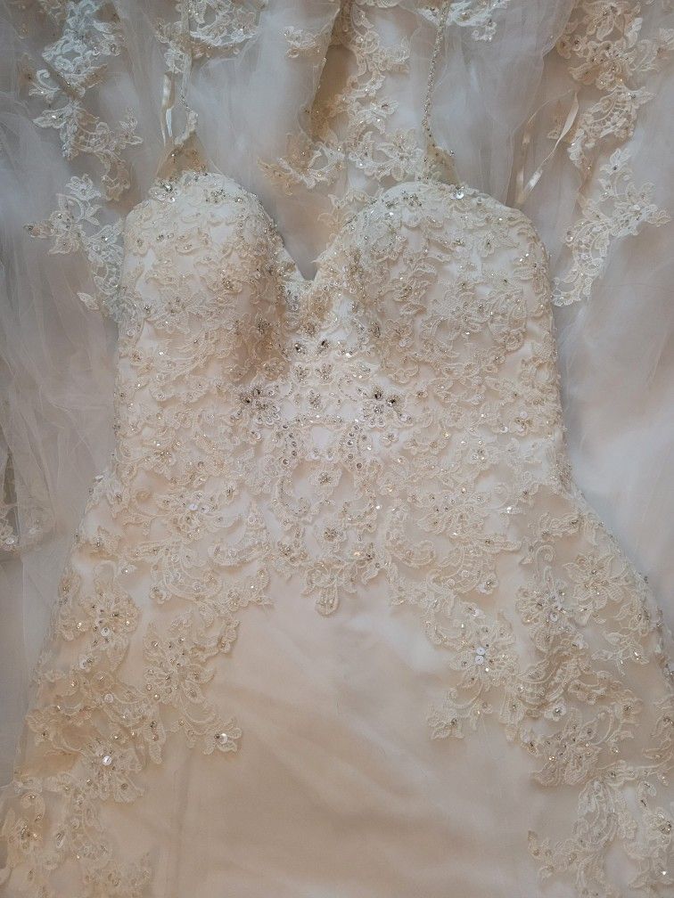 Camille La Vie Wedding Dress