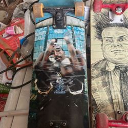 Primatative Skateboard With Thunder Trucks 