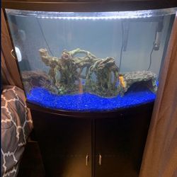 36 Gallon Fish Tank