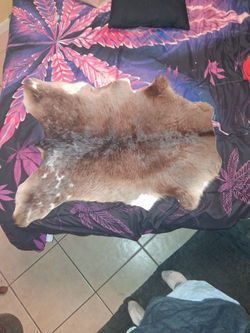 Reindeer Hide