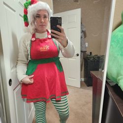 Elf In Charge Adult Costume