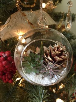 Christmas Succulent Terrarium Ornament