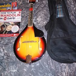 A STYLE MANDOLIN 
