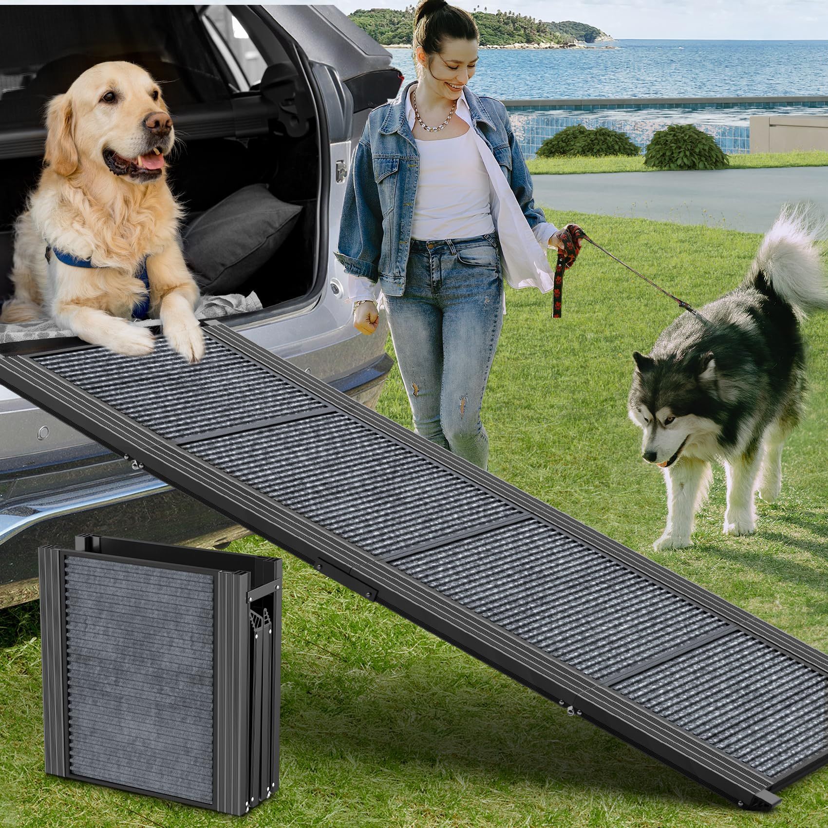 Dog Ramp