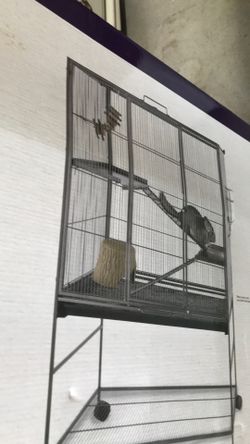 Animal  Home  For Small Creatures 