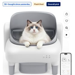 Automatic Cat Litter Box