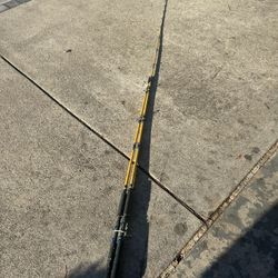 Eagle Claw 10 Ft Fishing Rod 
