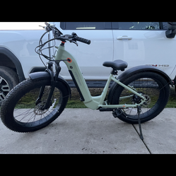 retrospec Electric bike