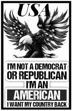 Large wooden or Aluminum sign for Home Decor Wall ,Bar ,restaurant ,garden ,fence ,Garage ,Gate and kitchen…featuring a bald eagle with American flag 