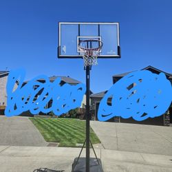 Basketball Hoop