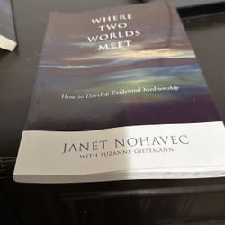 Where Two Worlds Meet