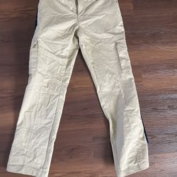 Dickies Work Pants