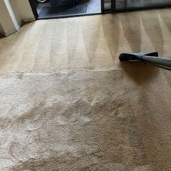 Carpet Care