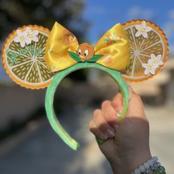 Orange Bird Mickey Ears