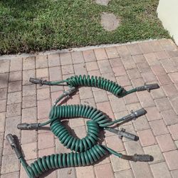 Pig Tails(Light Hook ups)