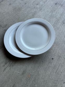 Dinner plates set 2 Dlrs