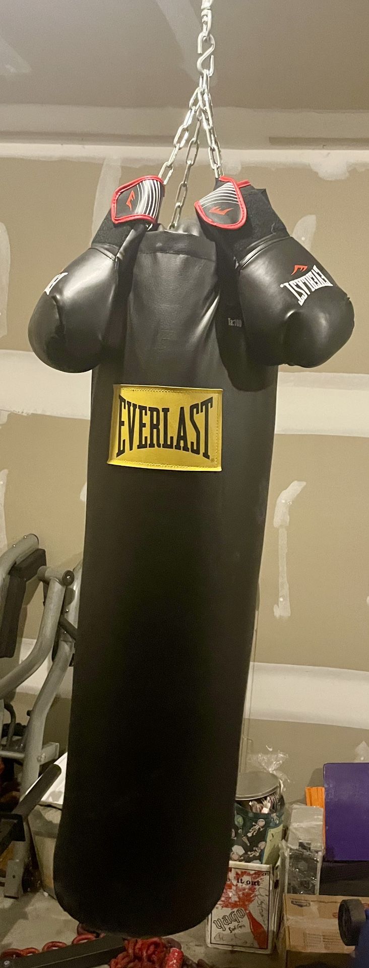 Everlast Punching Bag And Gloves 