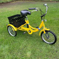 Wanda King Kids Tricycle