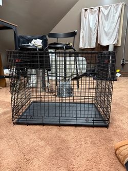 Dog/animal cage