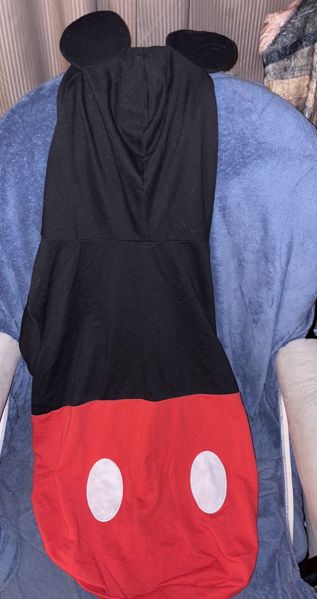 Like New. Dogs XL Costume