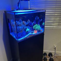 Waterbox 35.2 Tank & Cabinet