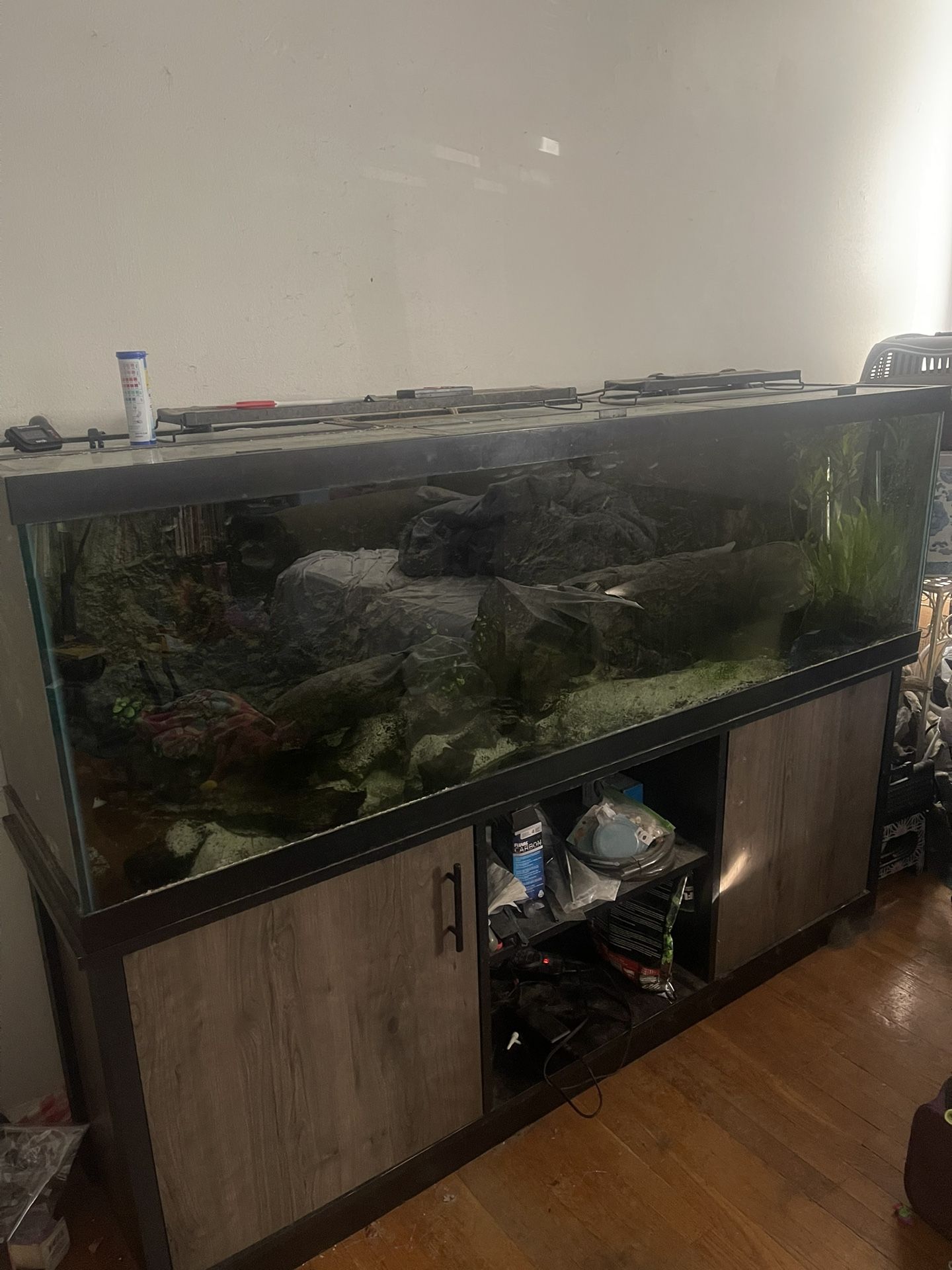 125 Gallon Tank Complete Setup
