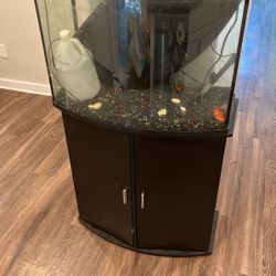 Fish Tank 