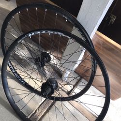 Bike Rims