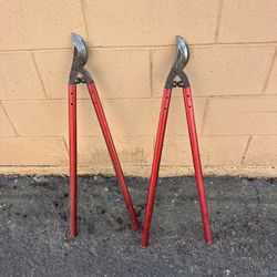 CORONA LOPPERS