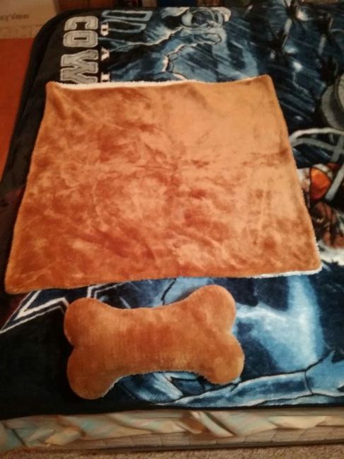 Doggie Blanket and Pillow