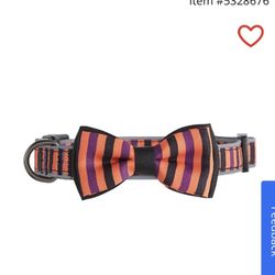 NEW Thrills & Chills™ Halloween Striped Bow Dog Collar ** Retails For $10 An Absolute Steal @$6 !!**