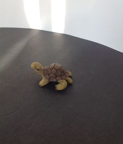 Turtles