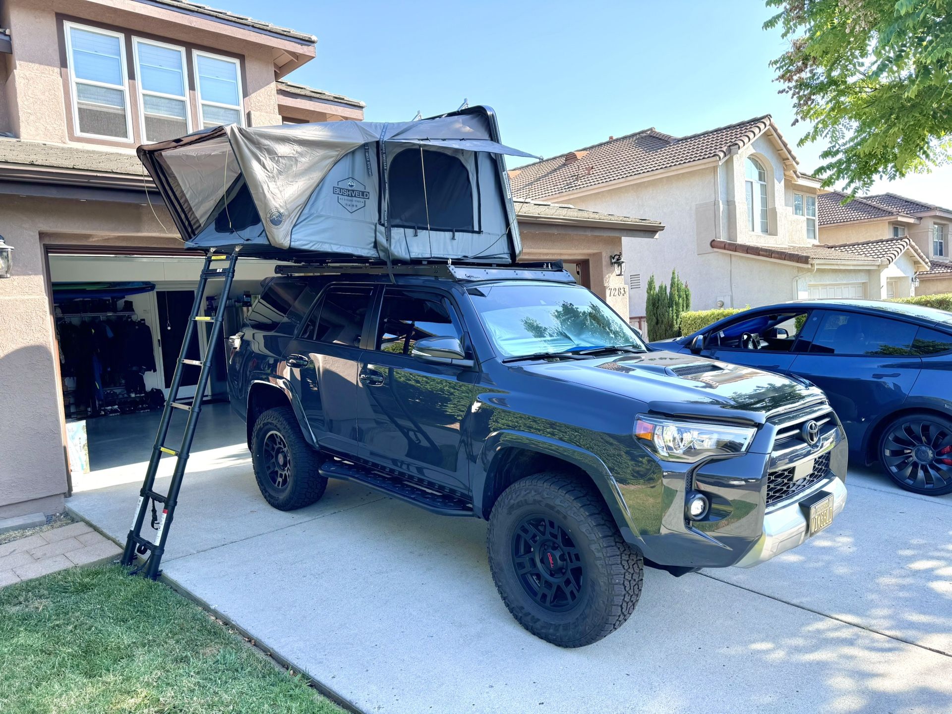 OVS Bushveld II Rooftop Tent
