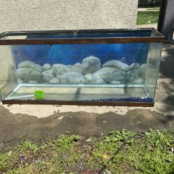 Fish Tank 55 Gallon 