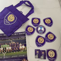 Orlando City Soccer Magnets Bag Passes Poster
