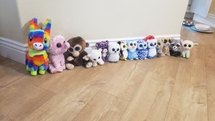 Ty Beanie Babies with Big Eyes plus a Fiesta Burro (14 tos in total)