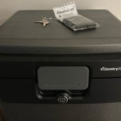 New Sentrysafe 