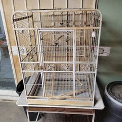 Big Parrot 🦜  Cage 