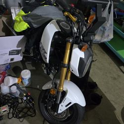 2025 Honda Grom