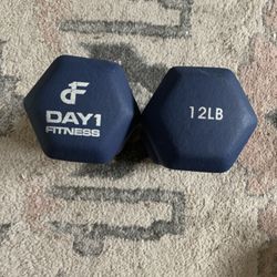 12s Dumbbells 