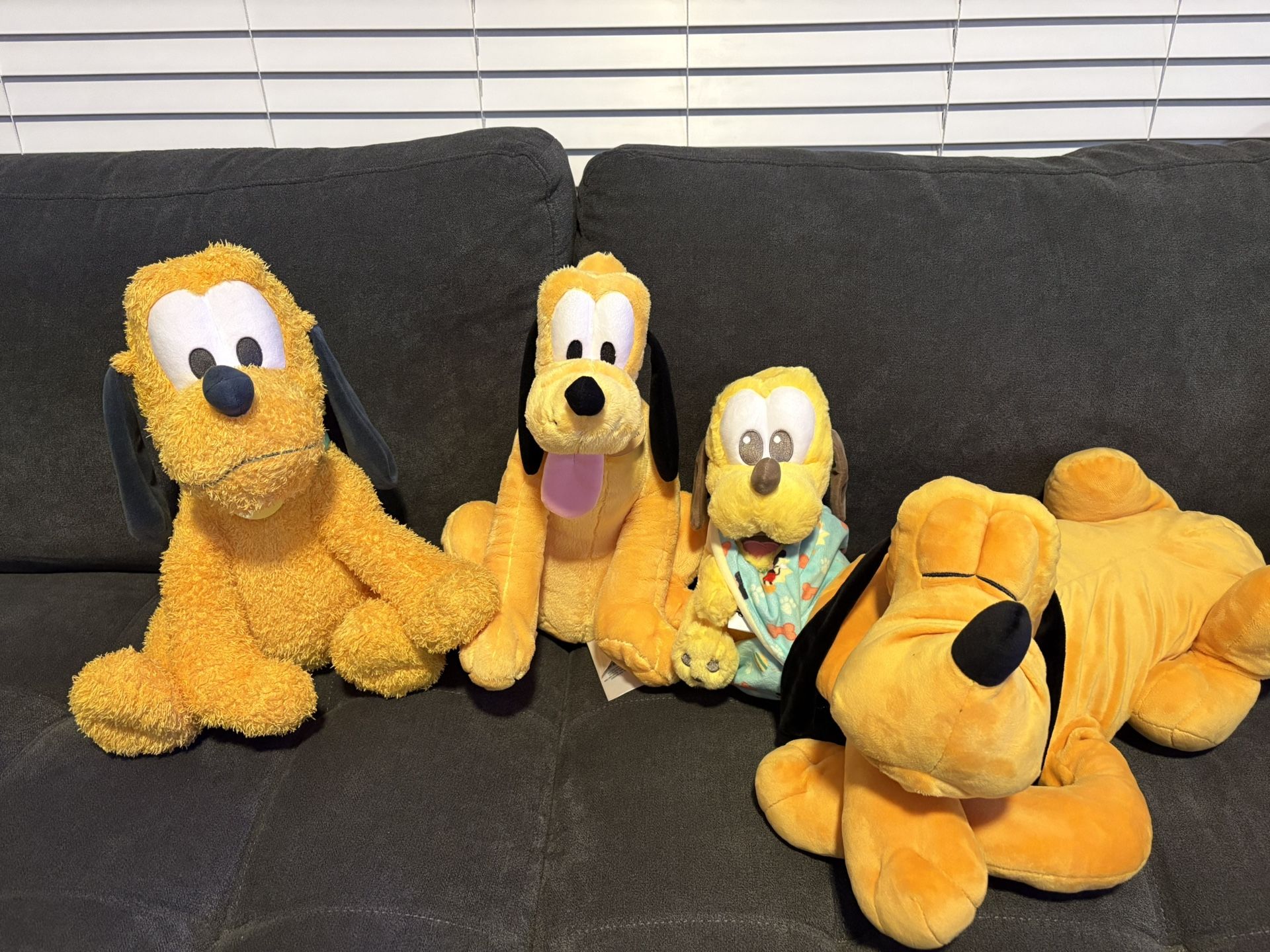 Disney Parks Pluto Plush Bundle – 4 Plushies