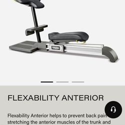 Flexability Anterior 