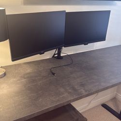 Dual Monitors And Monitor Arm